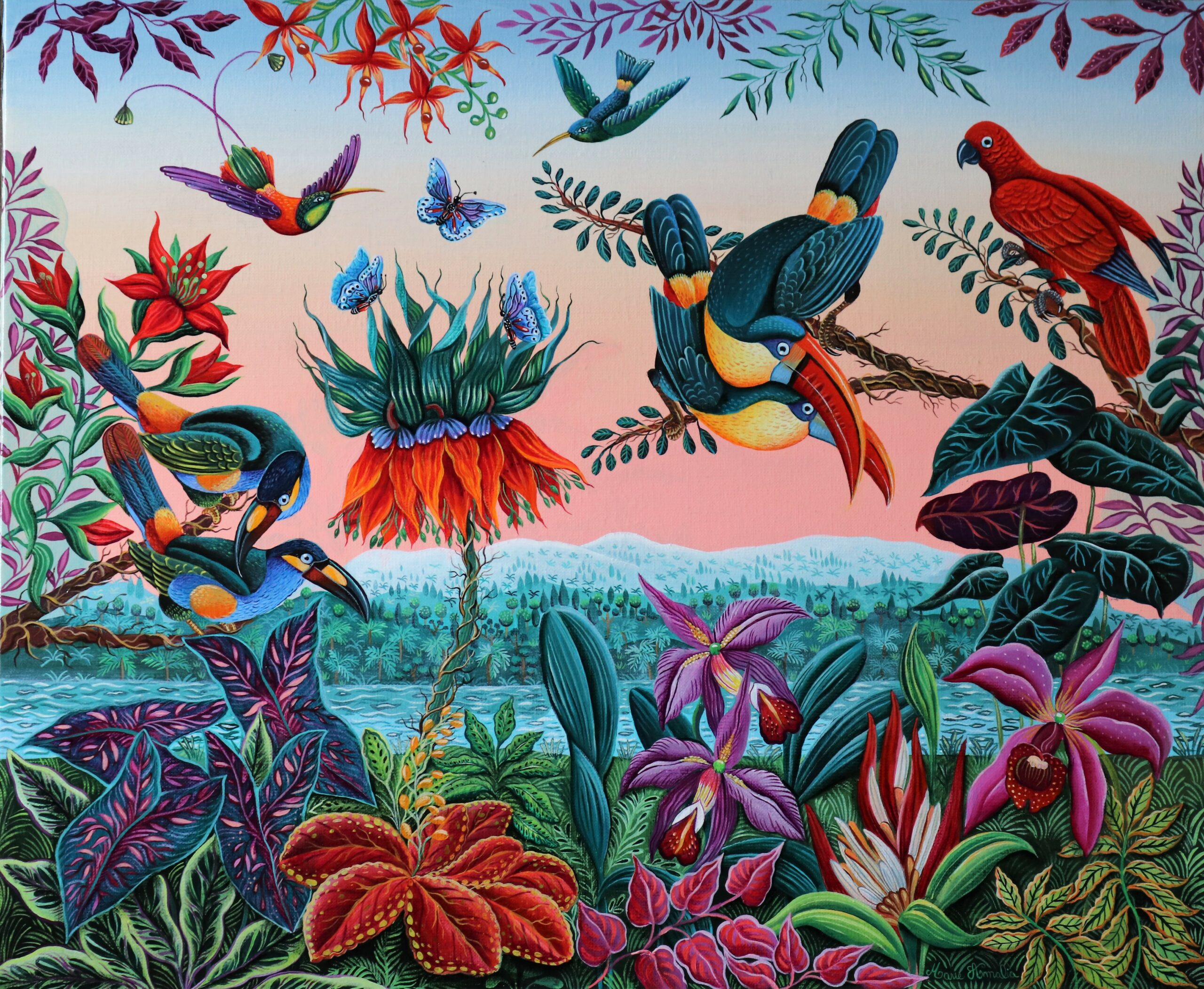 REVE DE TOUCANS 61X50 12F